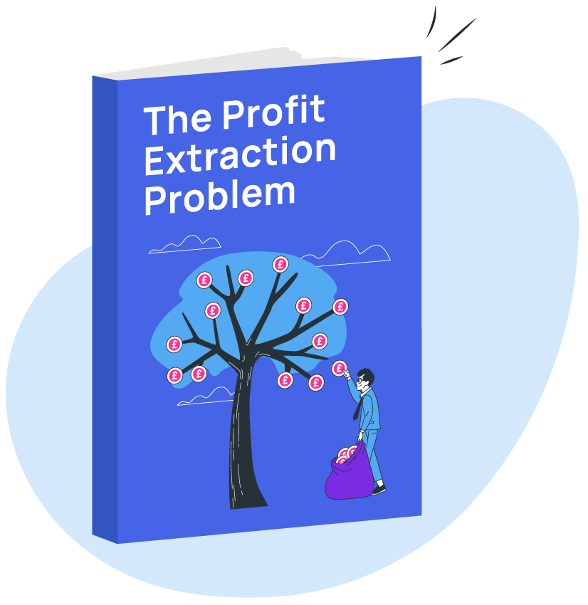 The Profit Extractin Problem ebook cover